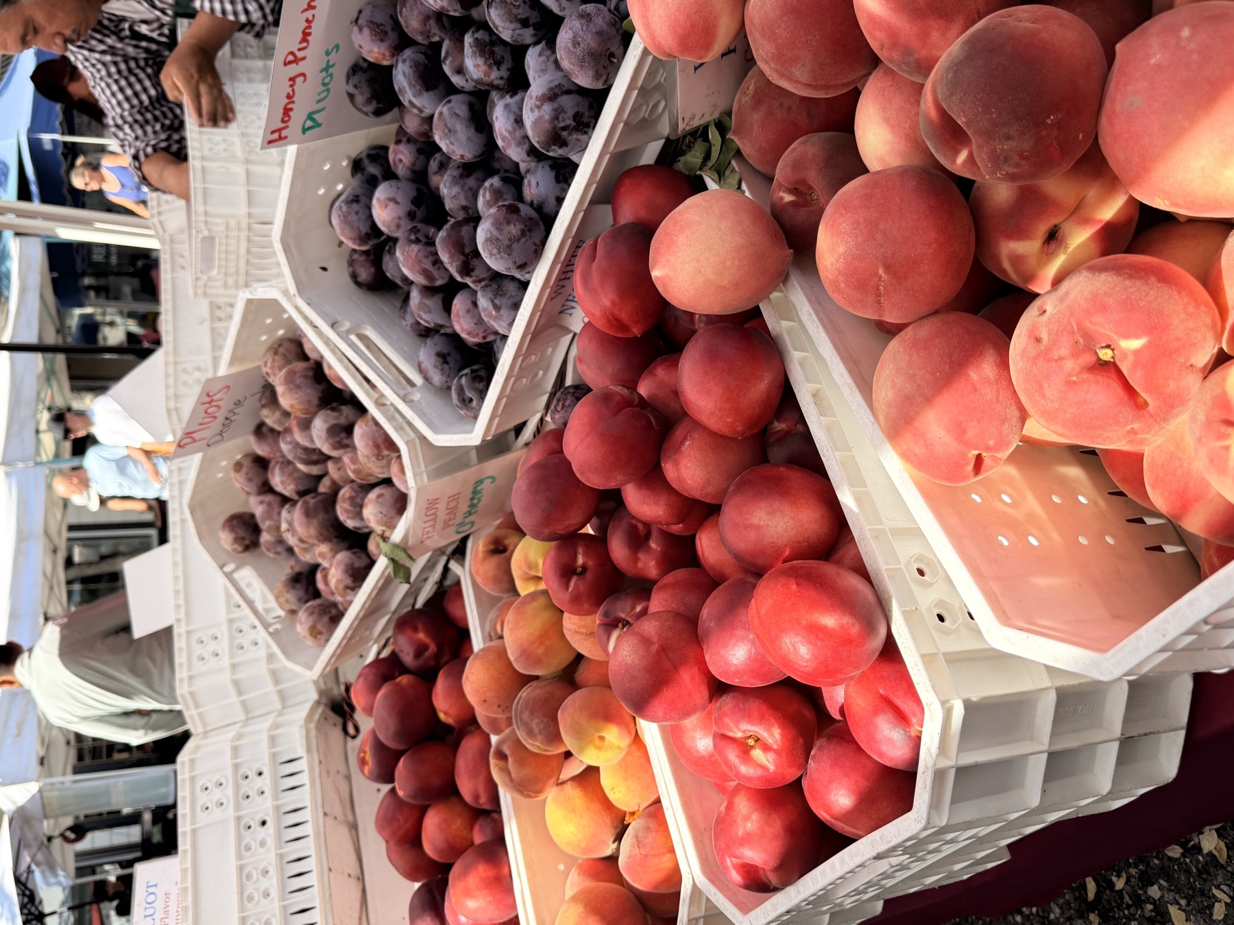 Crates of peaches, nectarines and pluots at a farmers market